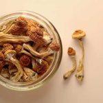 Magic Mushroom Drug Tested for Treating Gambling Addiction in Landmark UK Study